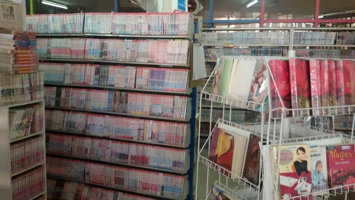 ชั้นหนังสือเรียงสูงเต็มผนังและแผงนิยาย